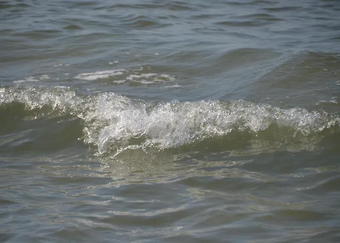 Birkenstr_21 C _strandtraum_ * ツィングシュト